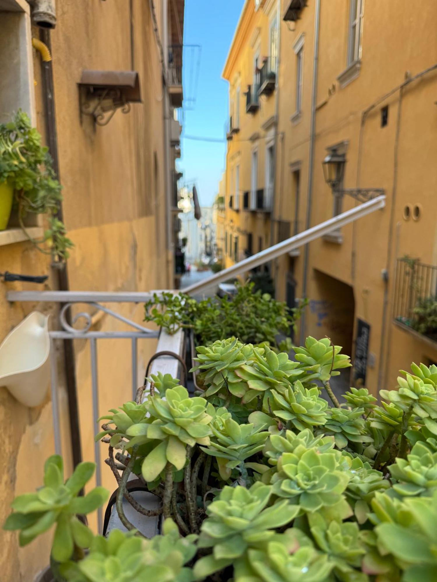 Residenza D'Artista Al Duomo1 Hotel Salerno Eksteriør billede